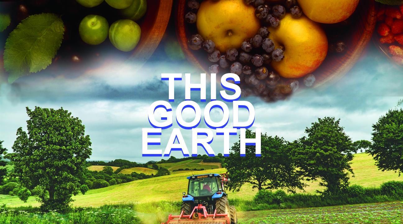 This Good Earth